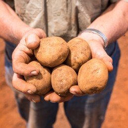 George Wicker. Spud Grower. Trentham. Copyright Richard Cornish 2019 4 uai