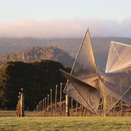 Art in the Vines at Hanging Rock Winery Matt Harding sculpture uai