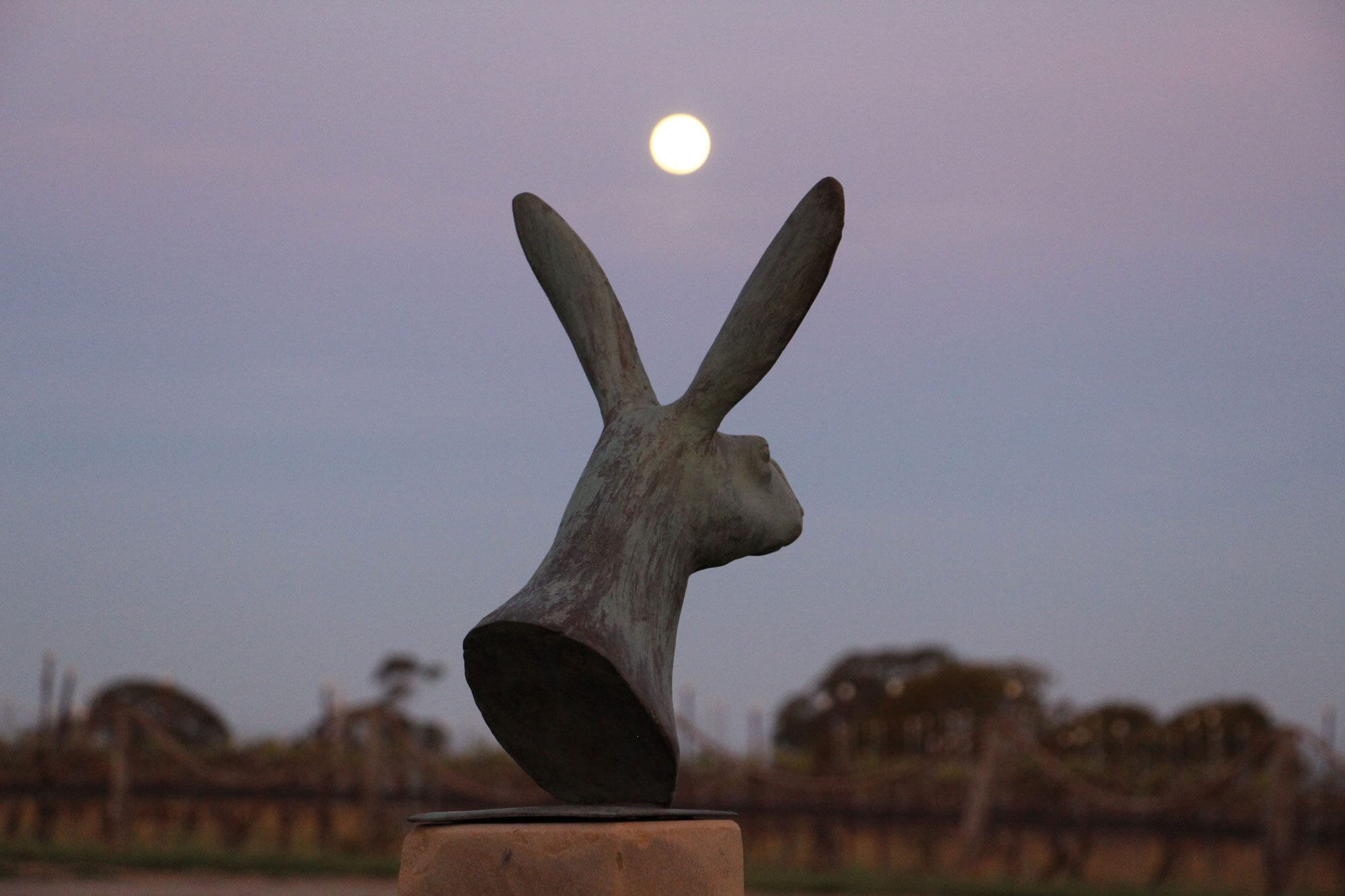 Bunny with Moon