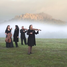 HANGING ROCK MUSICIANS 2 uai