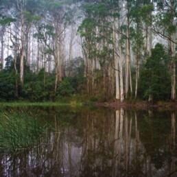 MT MACEDON DMRT 067 DK 2014 uai