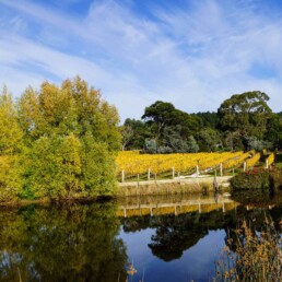 Gisborne Peak 3 uai