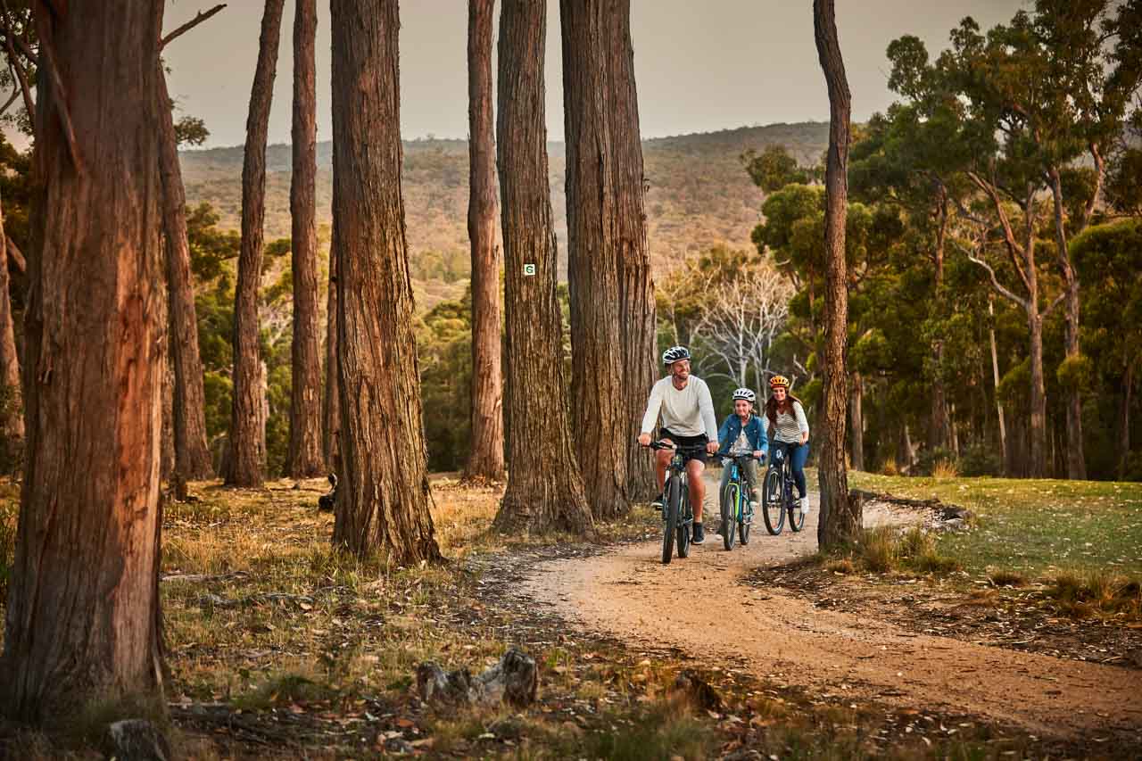 RACV Resort Goldfields Bike Track