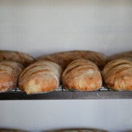 sourdough bread uai