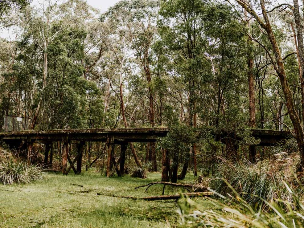 Domino Rail Trail 5 DominoT rail