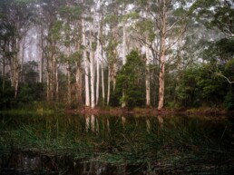 Mount Macedon 1 uai