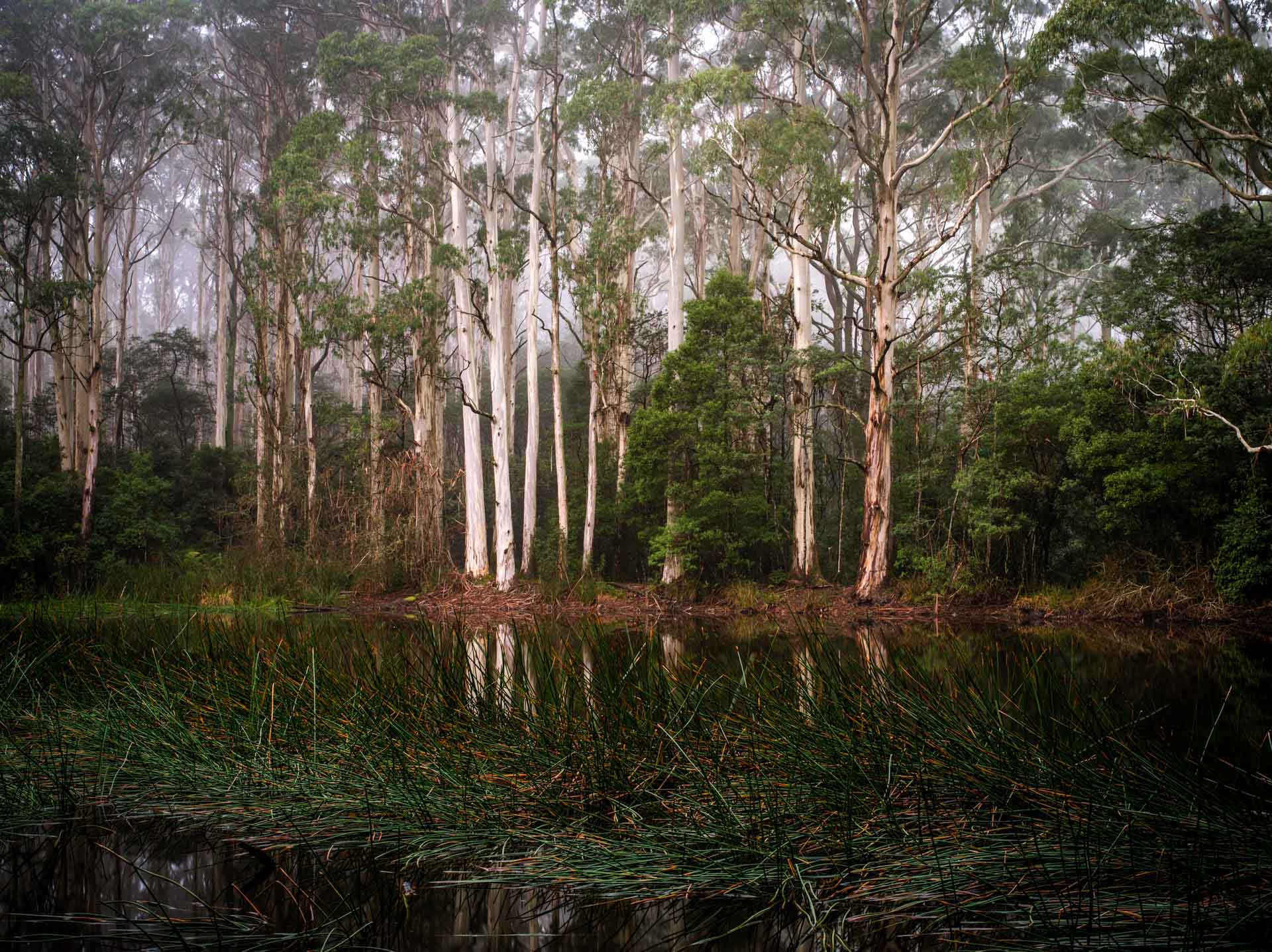 Sanatorium Lake