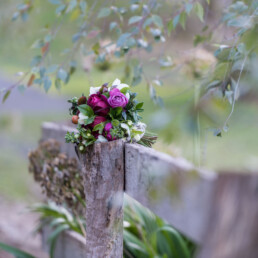 MACEDON RANGES HOTEL AND SPA Flowers on fence blurred uai