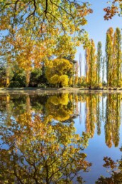 malmsbury botanic gardens 2 Joel Bramley uai