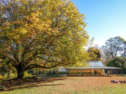 wombat hill botanic gardens shutterstock 1411215578 uai