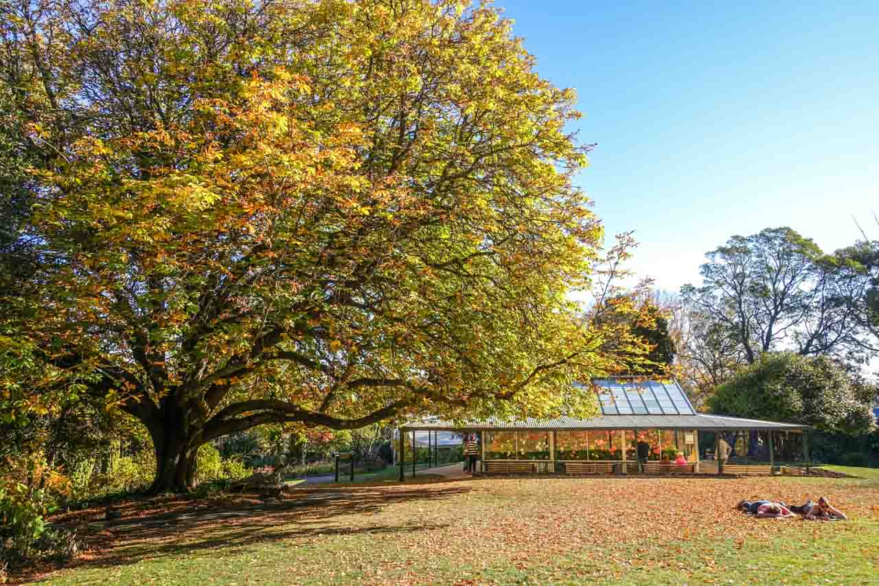 wombat hill botanic gardens shutterstock 1411215578