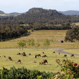 Hanging Rock Views 1 uai