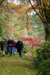 Mount Macedon Tours photo Tourism Australia uai