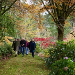 Mount Macedon Tours photo Tourism Australia uai