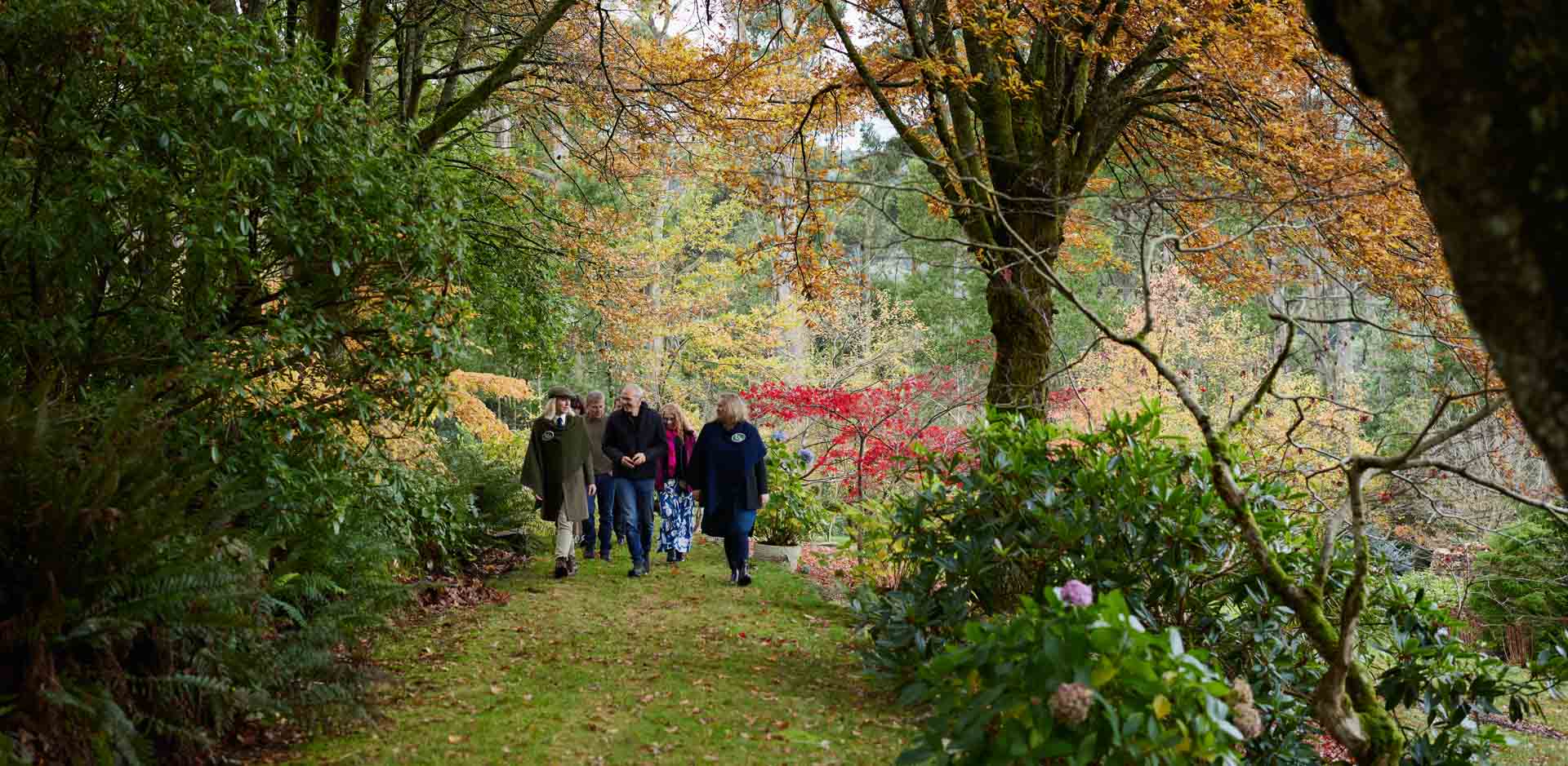 Mount Macedon Tours