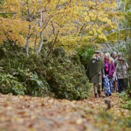 MountMacedonTours uai