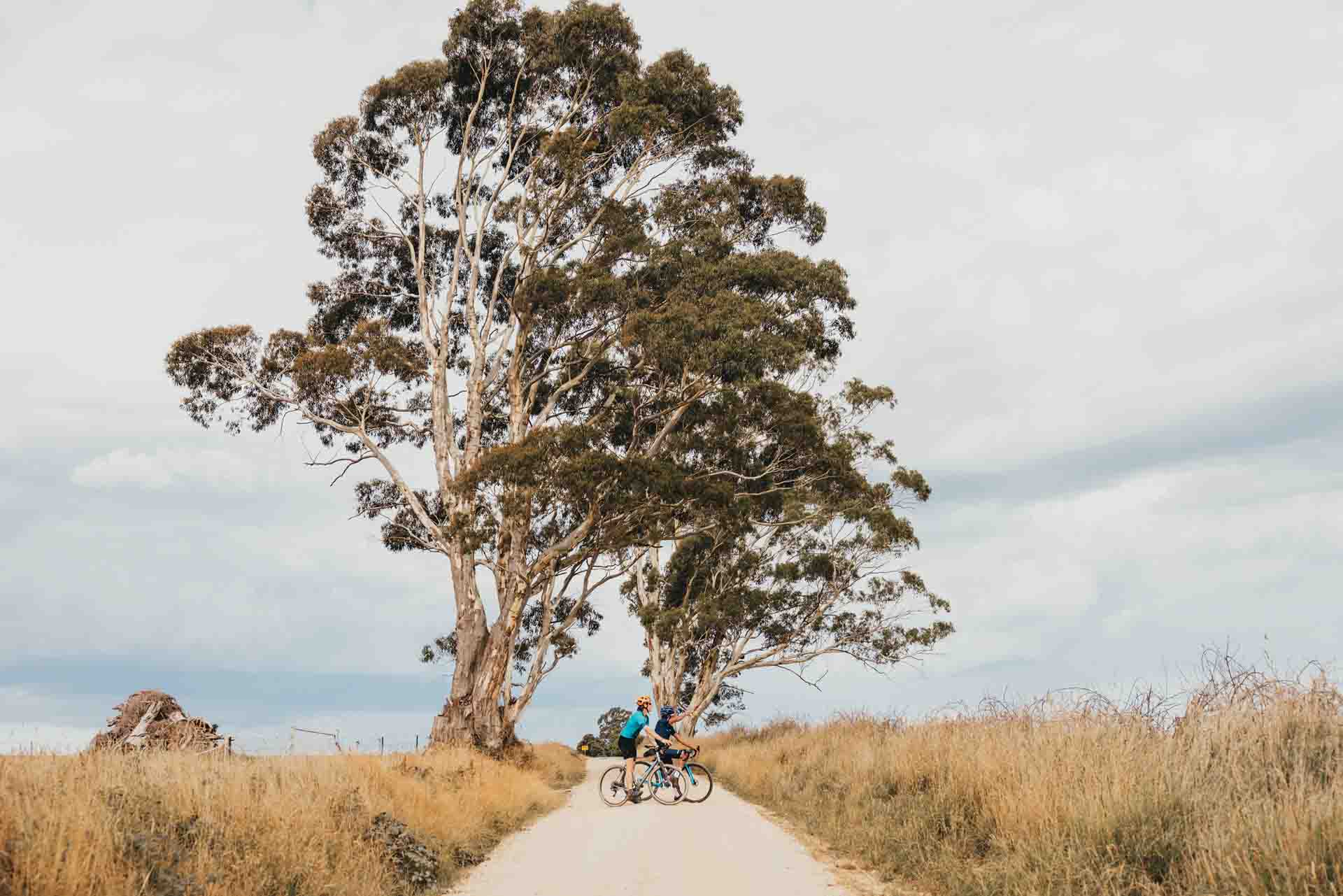 Gravel riding through Musk, photo by Bec Rowlands