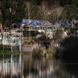 Lake House Through the Silverbirch uai