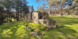 Castlemaine Diggings Darren M uai