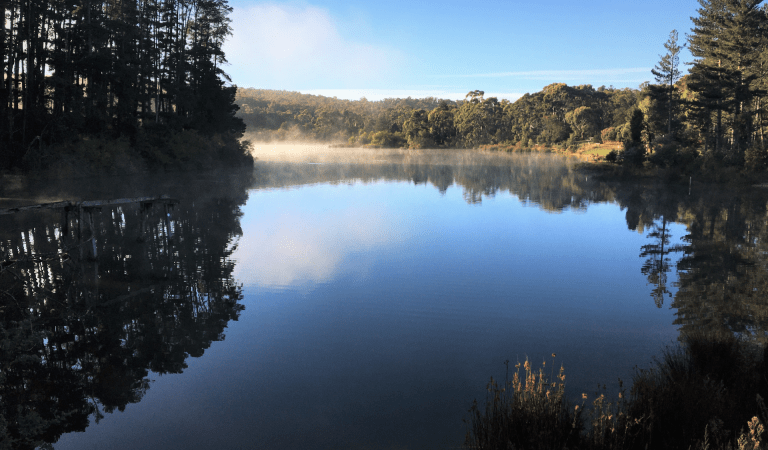 Creswick Regional Park