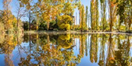 Malmsbury Botanic Gardens by Joel_Bramley