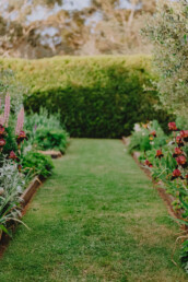 OpenGarden ChloeSmithPhotography 0306 uai
